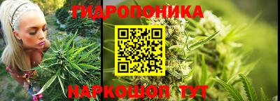не бодяженный Краснодар
