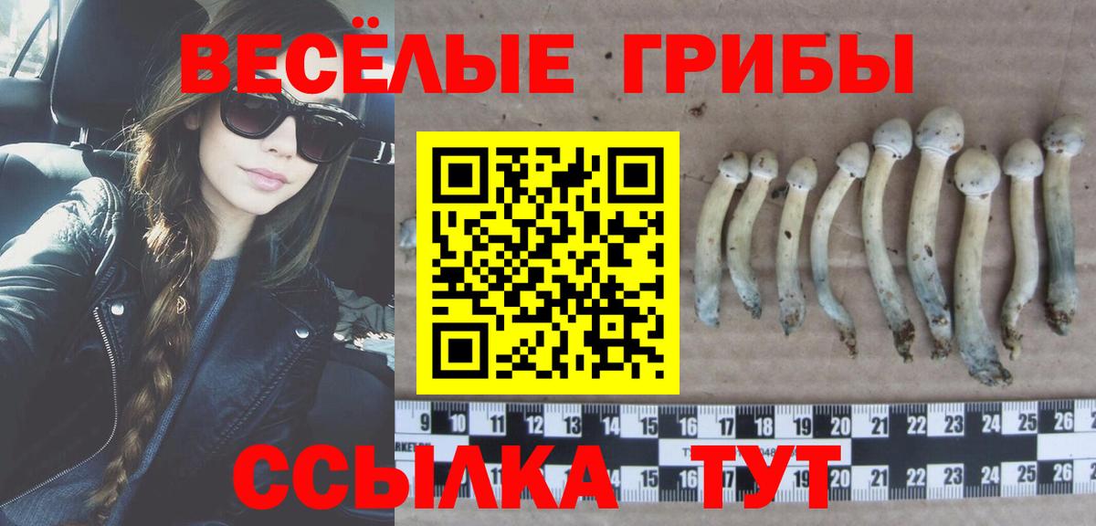 Галлюциногенные грибы прущие грибы Заволжье